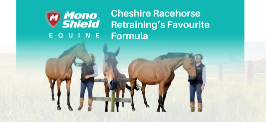 Aidy's Journey on MonoShield Equine