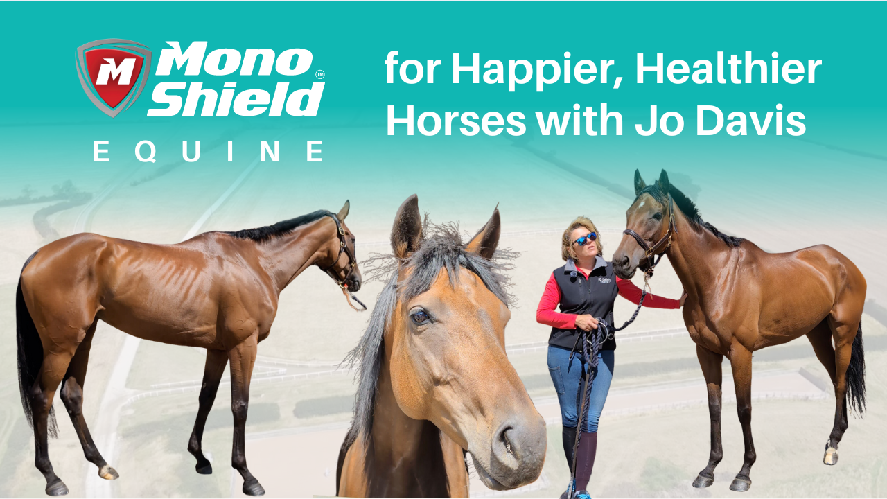 Jo Davis Racing – MonoShield Equine Ireland